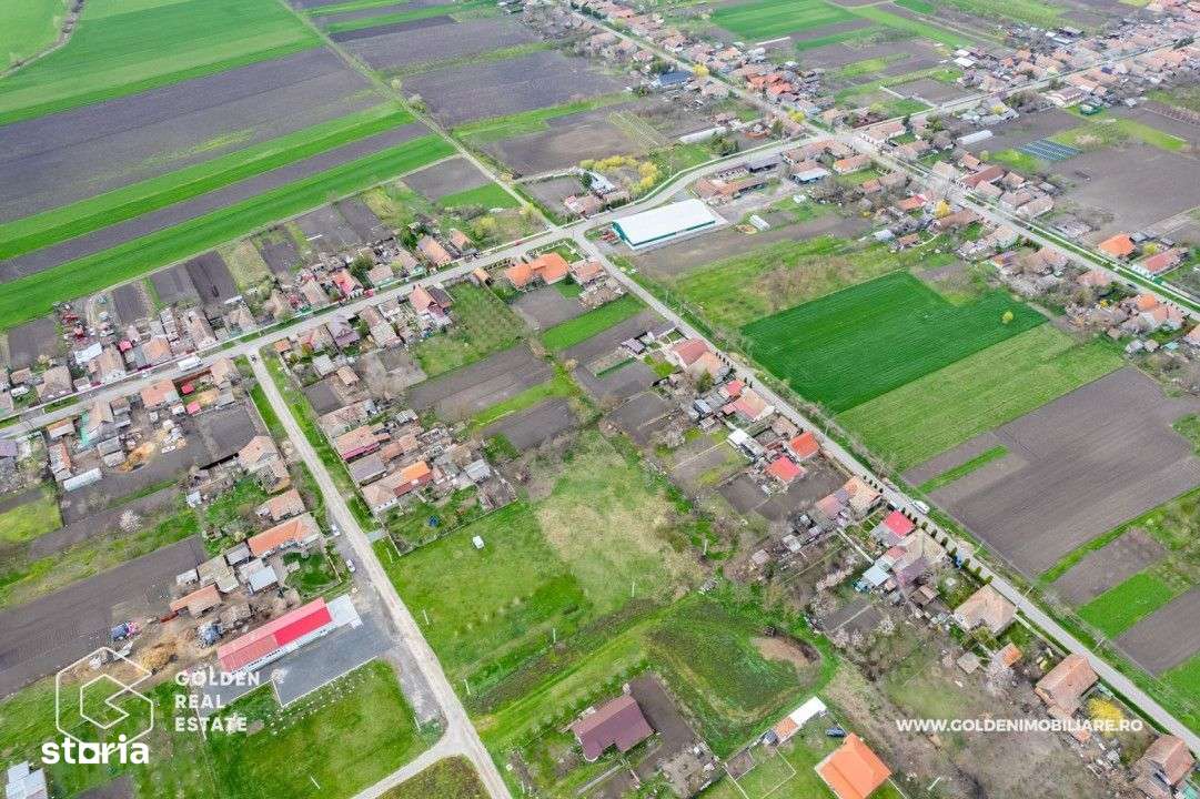 Teren intravilan, localitatea Dorobanţi, 1000 mp - Imagine principală: 4/9