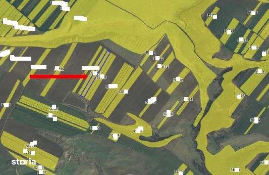 Teren extravilan Loc. Balacita,Jud. Mehedinti-2