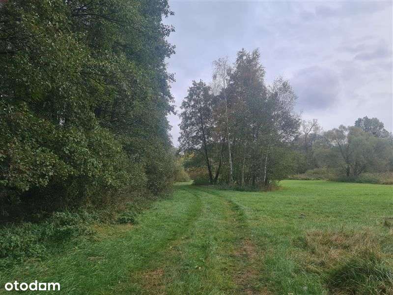 Działka - Nowe Miasto Lubawskie-4