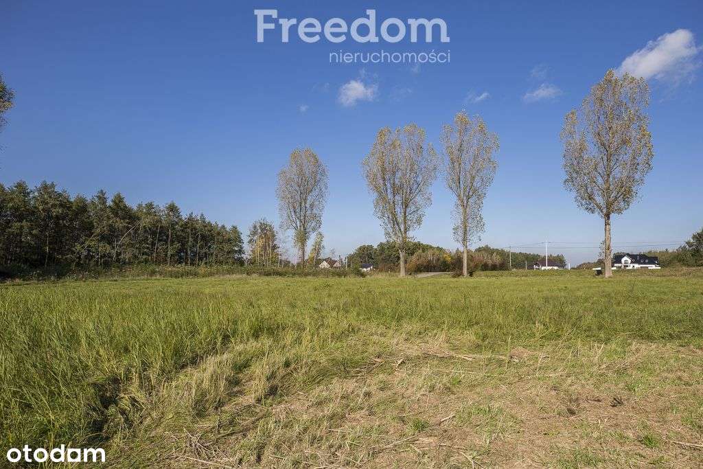 Działka inwestycyjna przy Dk94 – Machowa-8