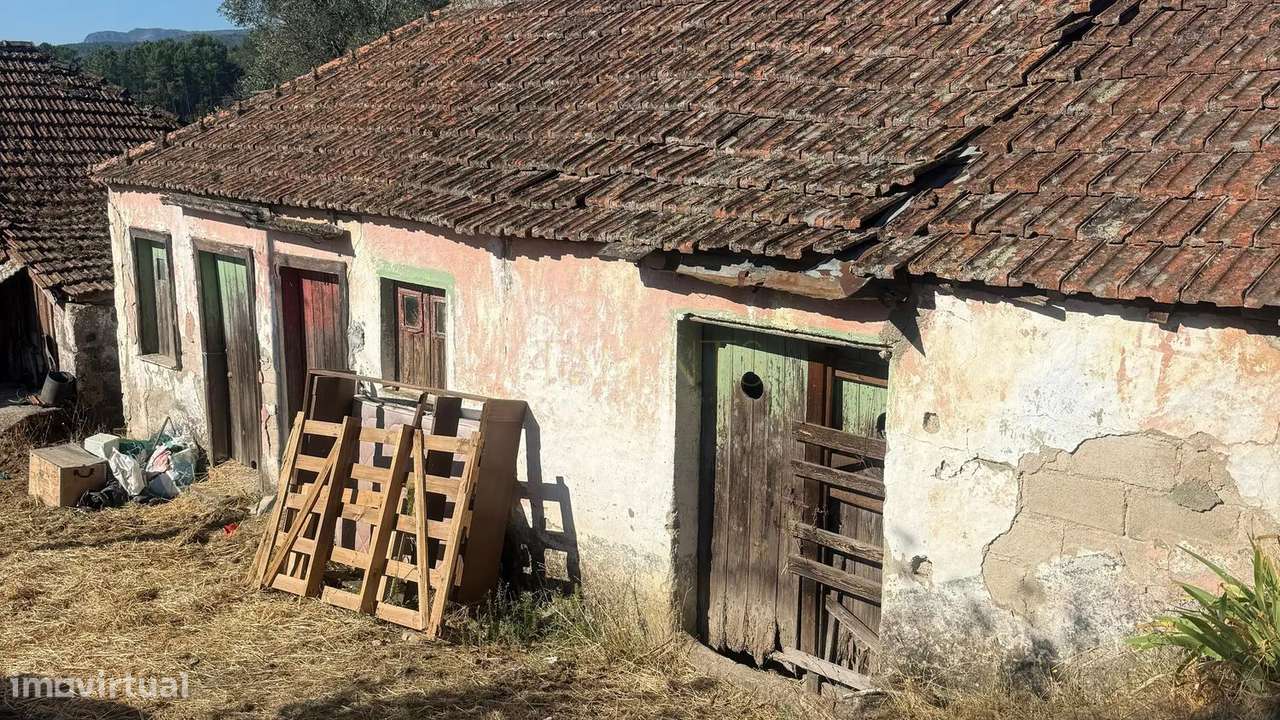 Quinta de 12.200m2 com Potencial Ilimitado, em Lordelo - Vila Real - Grande imagem: 3/11