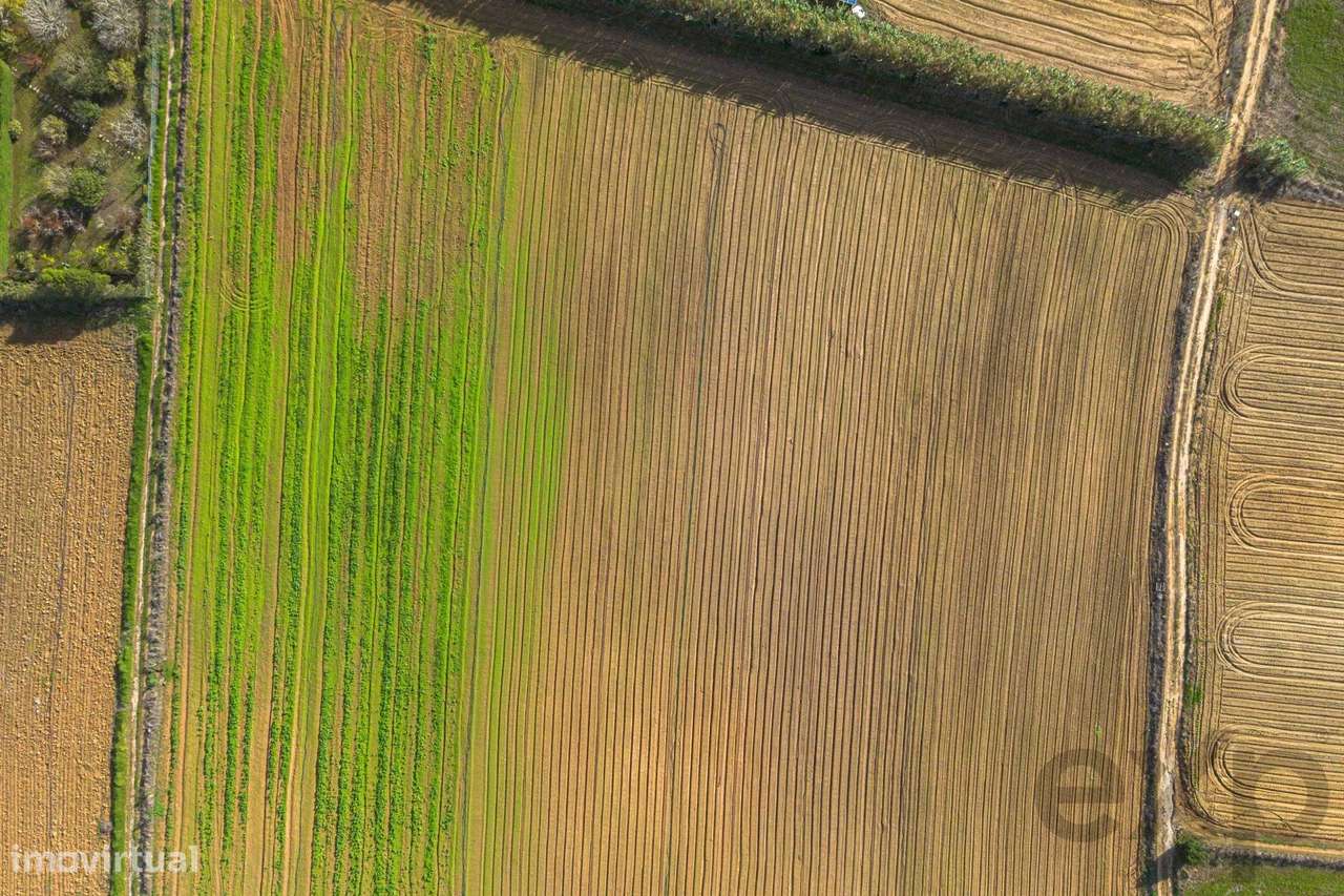 Terreno com bom potencial - Grande imagem: 5/10