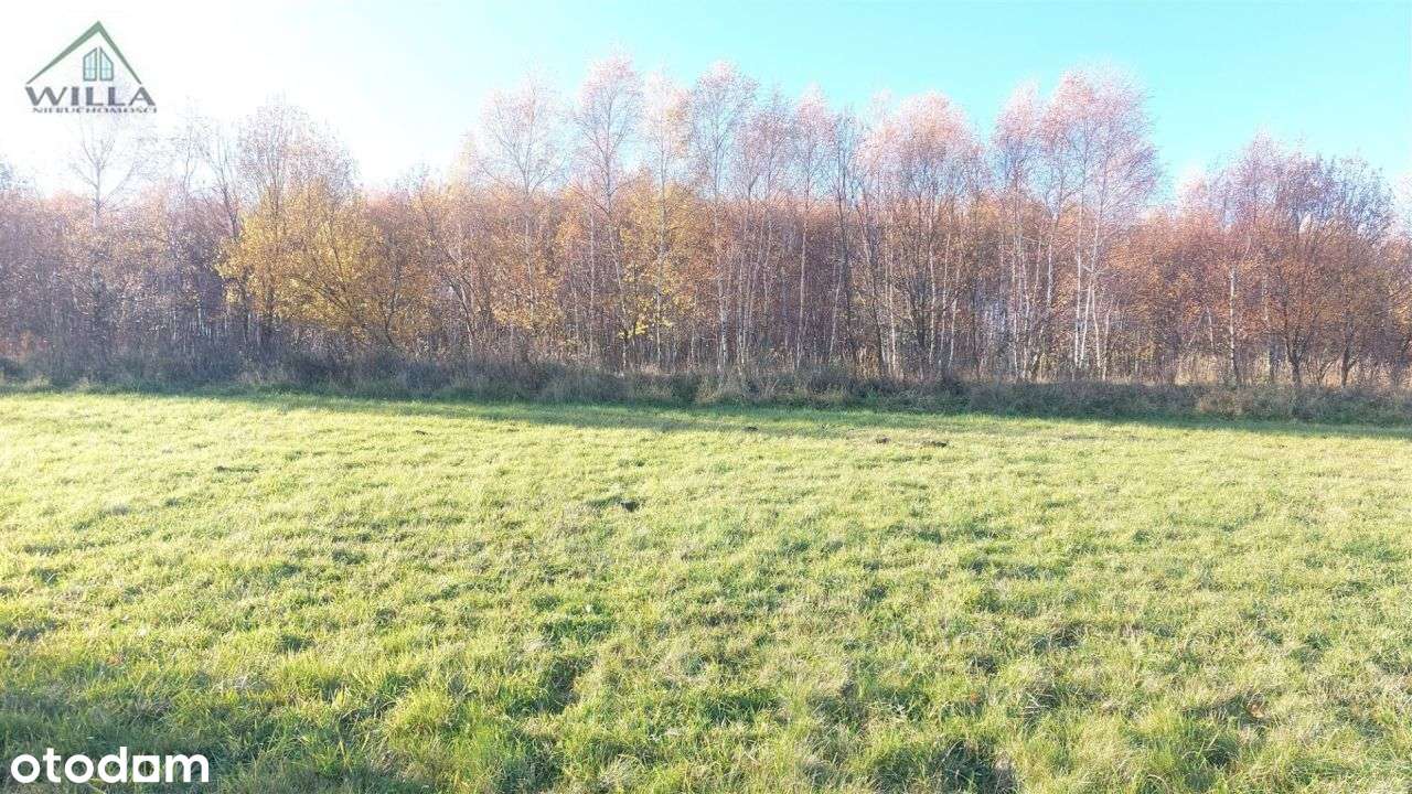 Działka w ustronnej i malowniczej lokalizacji. - Pełny obrazek: 5/7