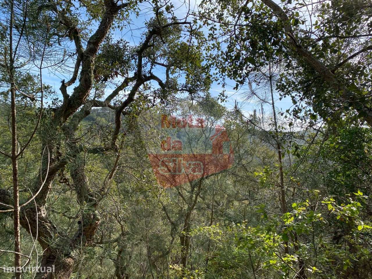 Terreno de 6ha com vista mar em São Francisco da Serra - Grande imagem: 4/15