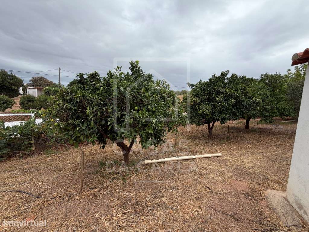 Propriedade T3 com Anexo T1+1 completamente renovada e jardim com 1...-8