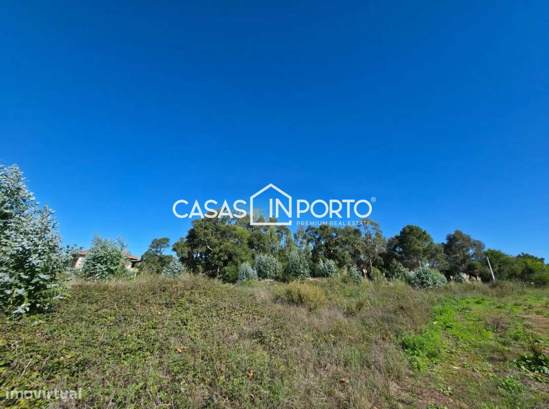 Terreno em Francelos com Projeto Aprovado - Grande imagem: 5/17