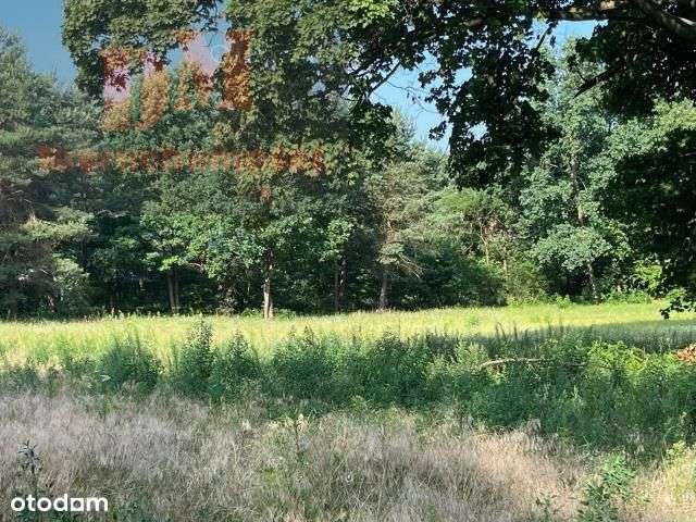 Działka, 20 200 m², Warszawa-2