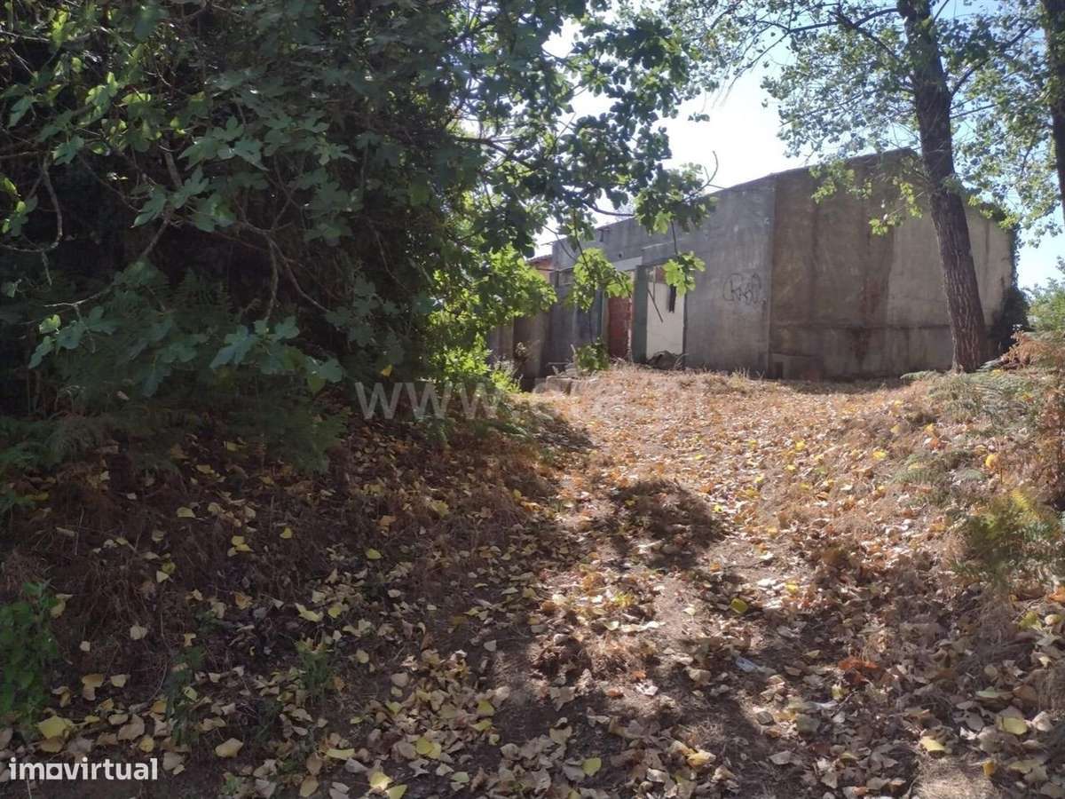 Terreno com Ruína em Gandra - Paredes - Grande imagem: 3/11