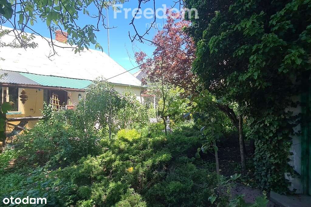 Siedlisko na wsi - Pełny obrazek: 3/20