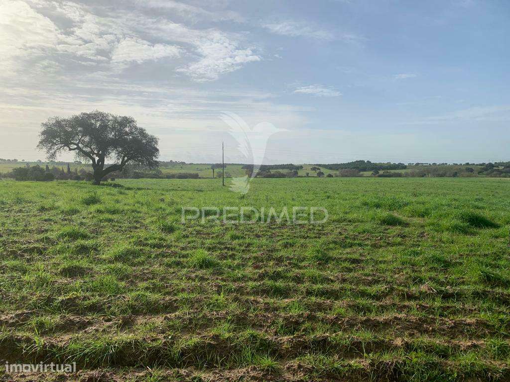 HERDADE  27 HECTARES - Grande imagem: 2/15