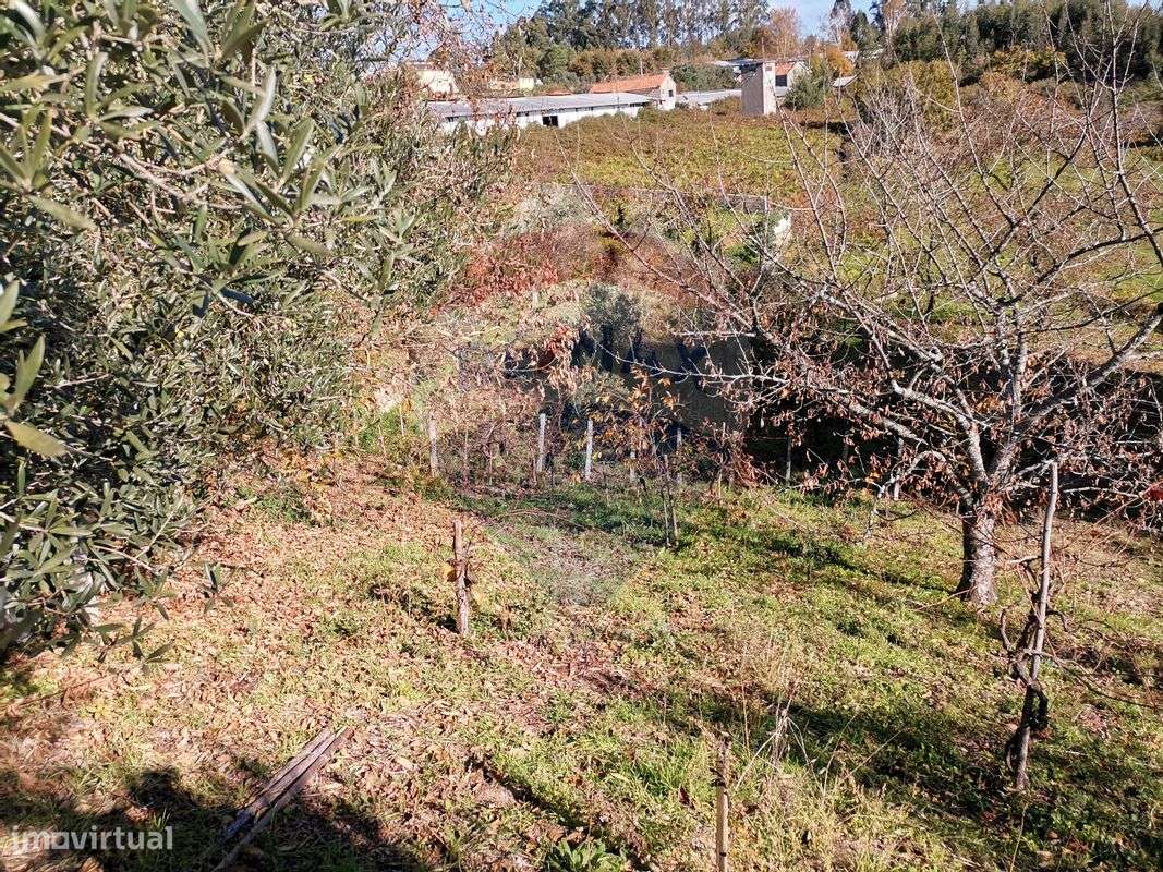 Terreno  para venda - Grande imagem: 5/6