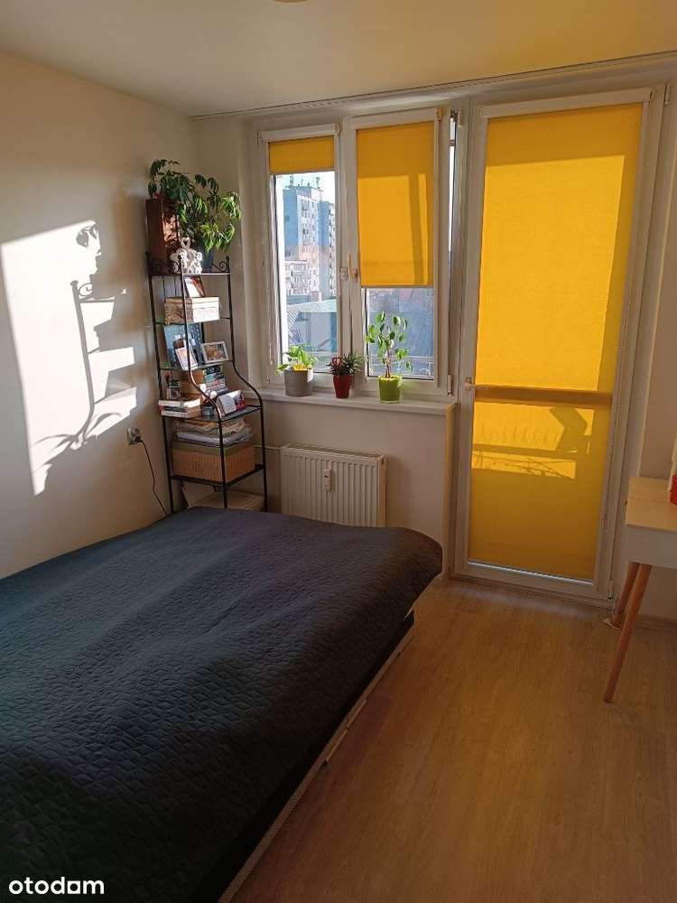 Przestronne M - 4 w Centrum - Pełny obrazek: 5/13