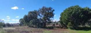 TERRENO com 10'980.00m2 e Projeto Aprovado - Grande imagem: 4/8