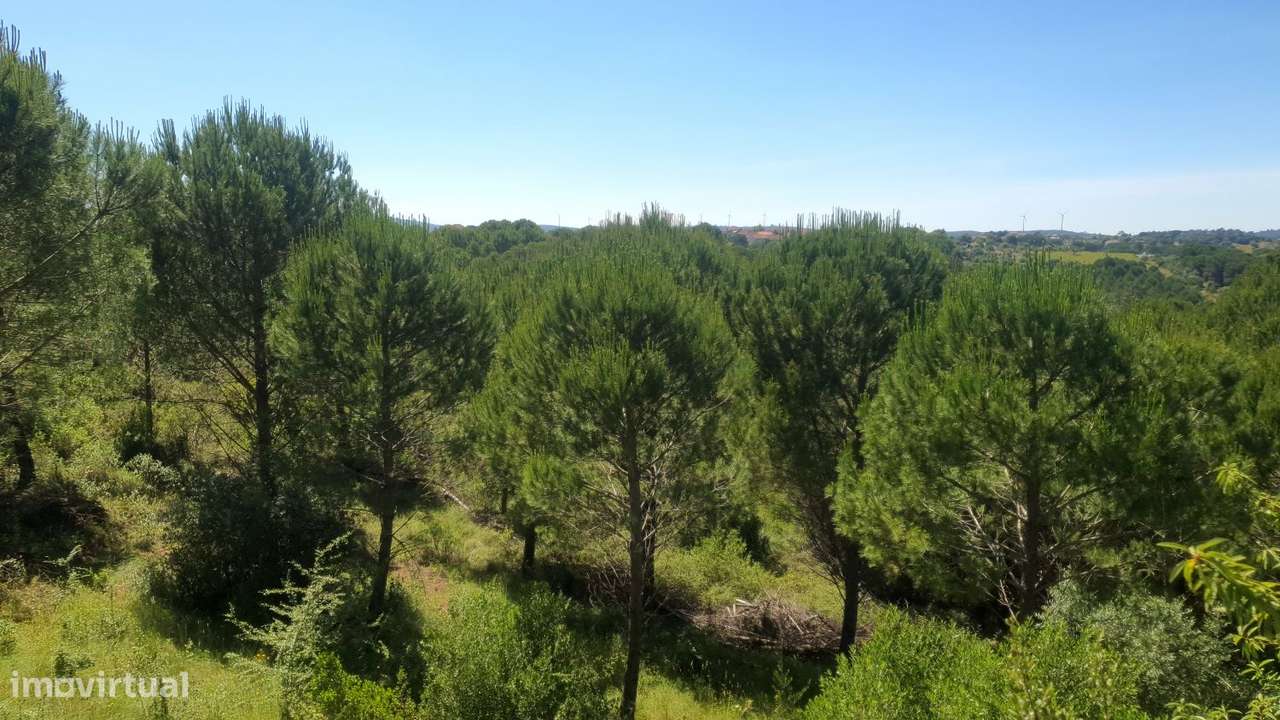 Terreno 10 hectares para Loteamento de 22 Moradias - Grande imagem: 5/15