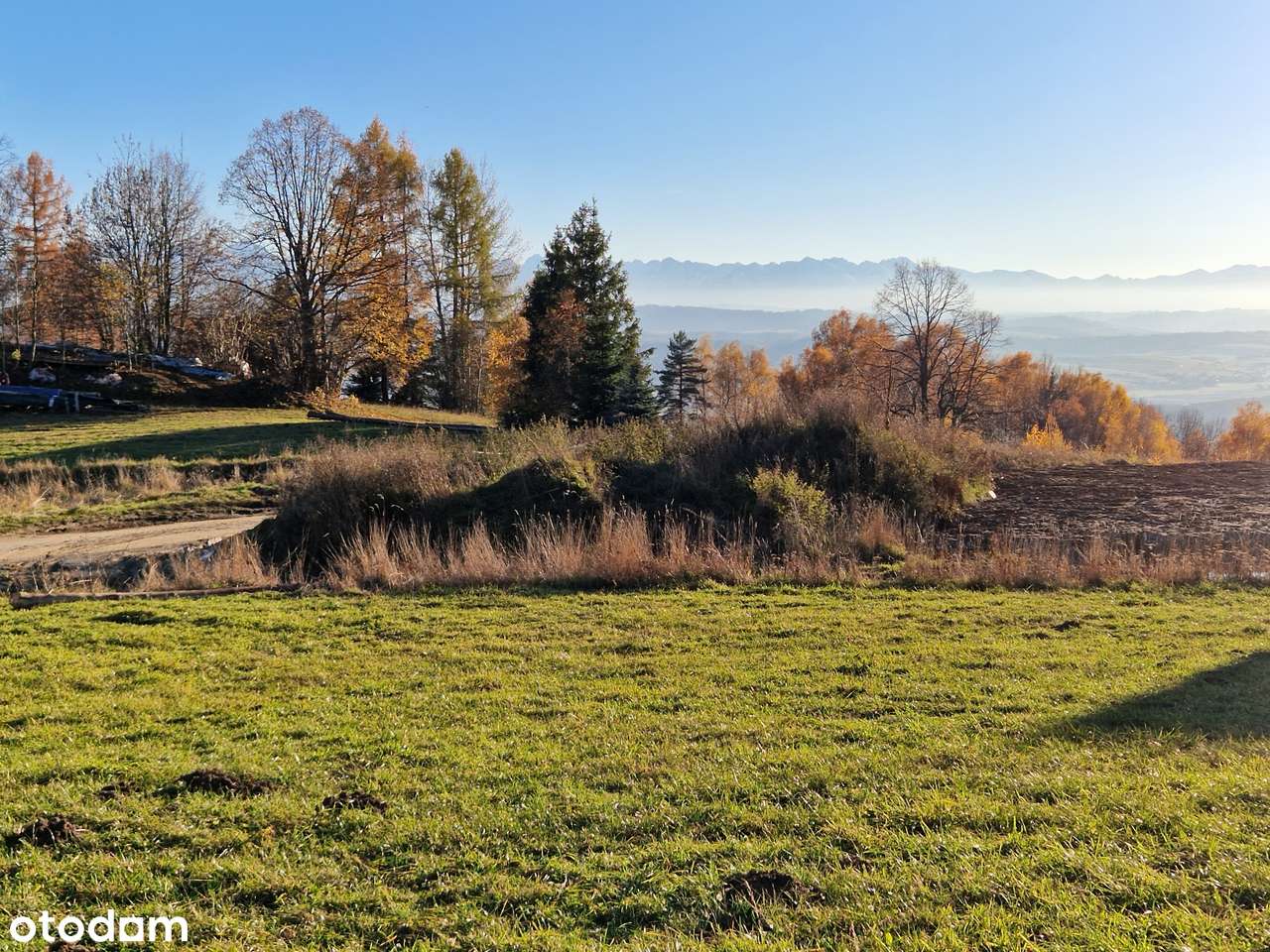 Widokowa działka budowlana z potencjałem-2