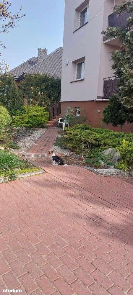 Dom wolnostojący Krupniki k/ Białegostoku - Pełny obrazek: 5/15