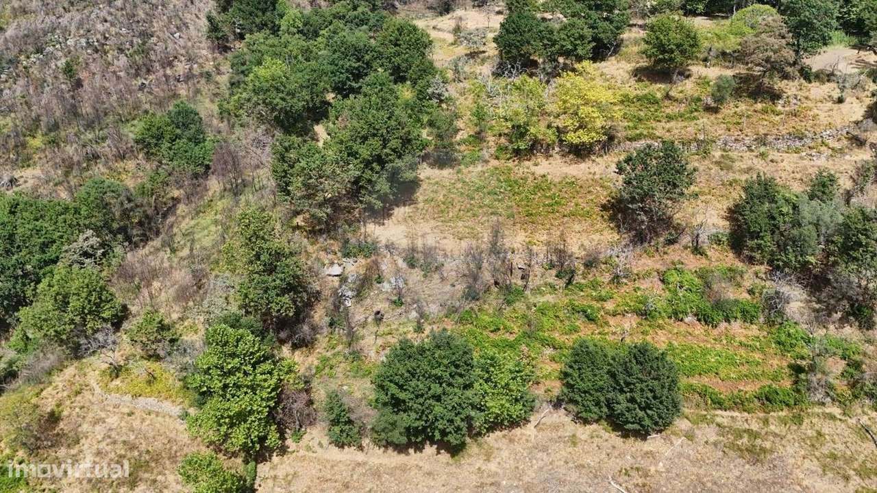 Terreno  para venda - Grande imagem: 3/4