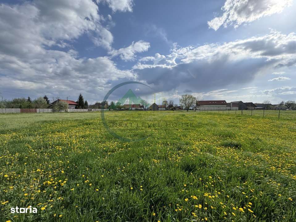 Teren Sat Bacel 6200 mp - Imagine principală: 5/8