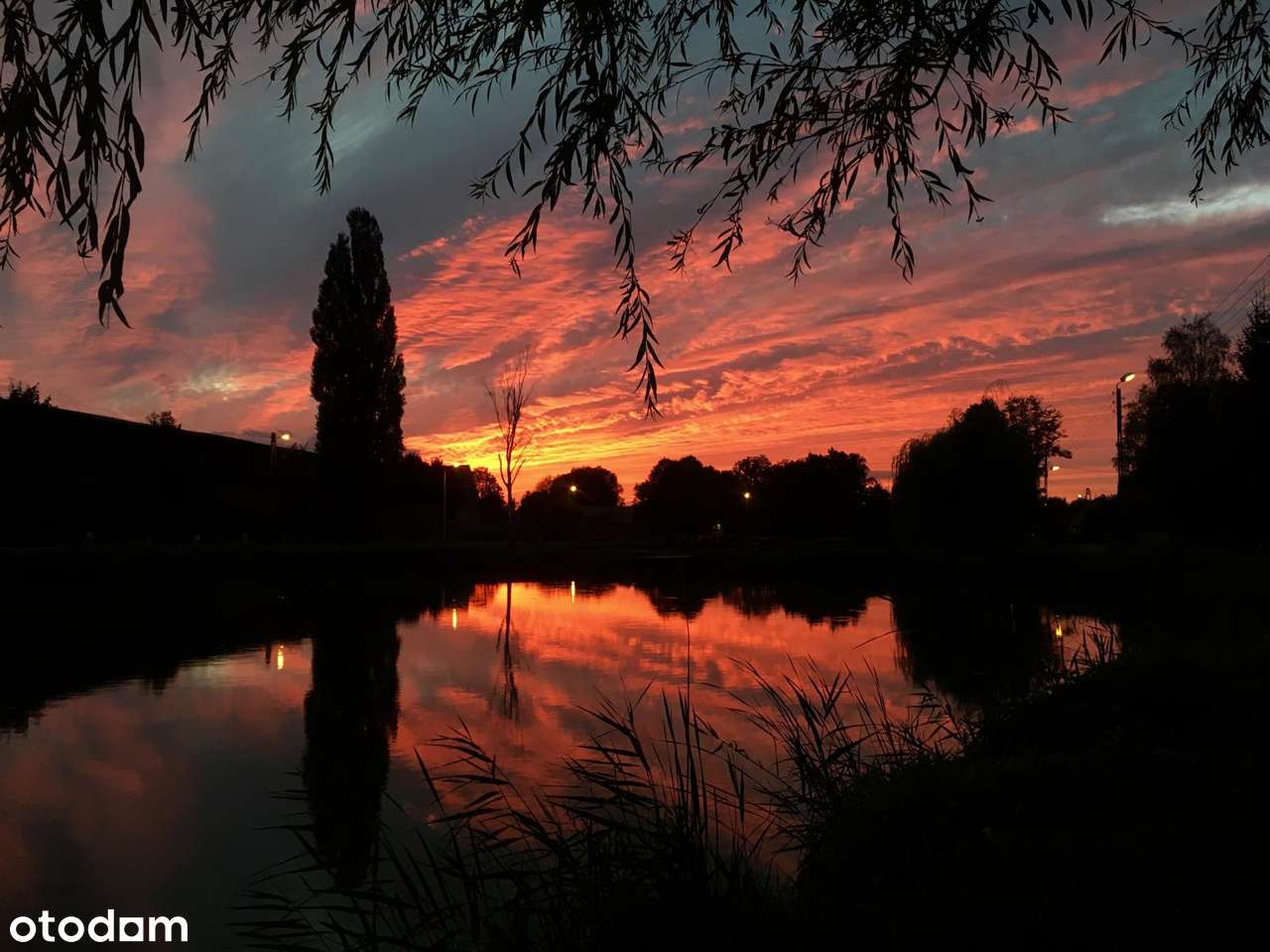 DOLINA BARYCZY gm Cieszków, dom po remoncie, siedlisko działka 0,69ha - Pełny obrazek: 4/16