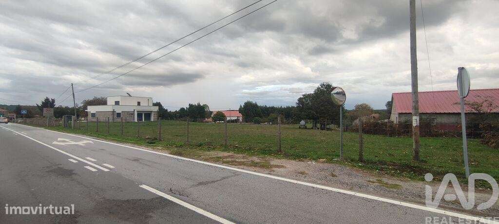 Terreno em Peva e Segões - Grande imagem: 3/6