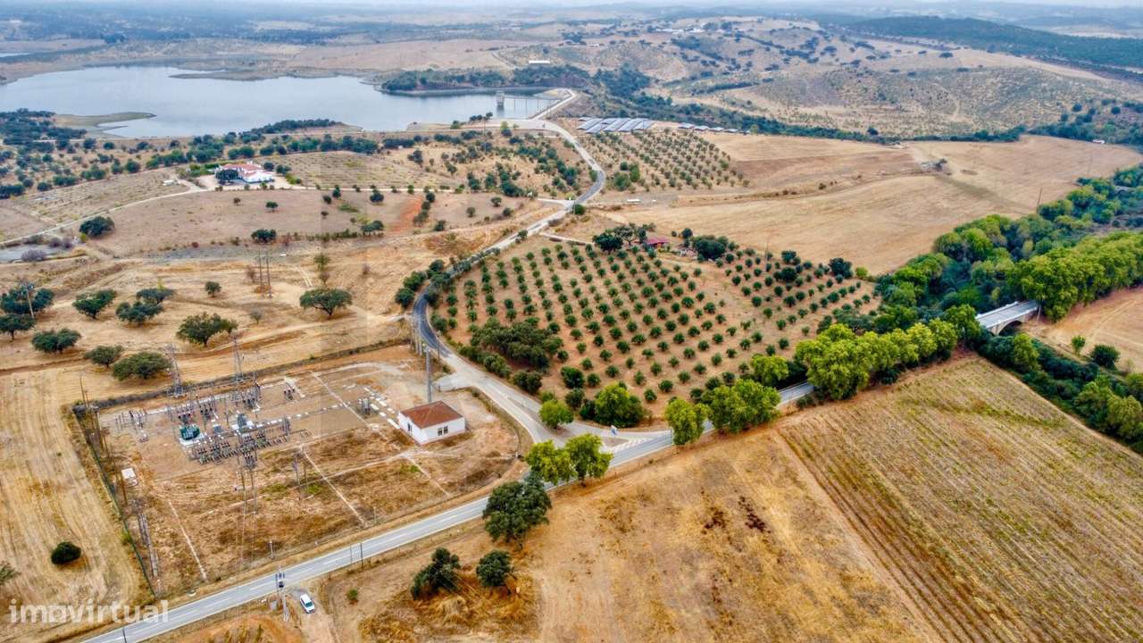 Terreno com Vinha em Produção | Terena–Alandroal, Évora - Grande imagem: 3/16