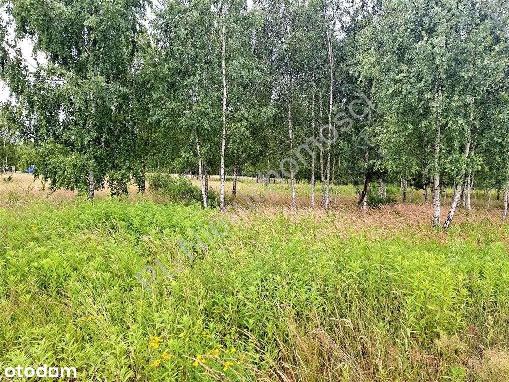 Duża działka w dobrej cenie !-1