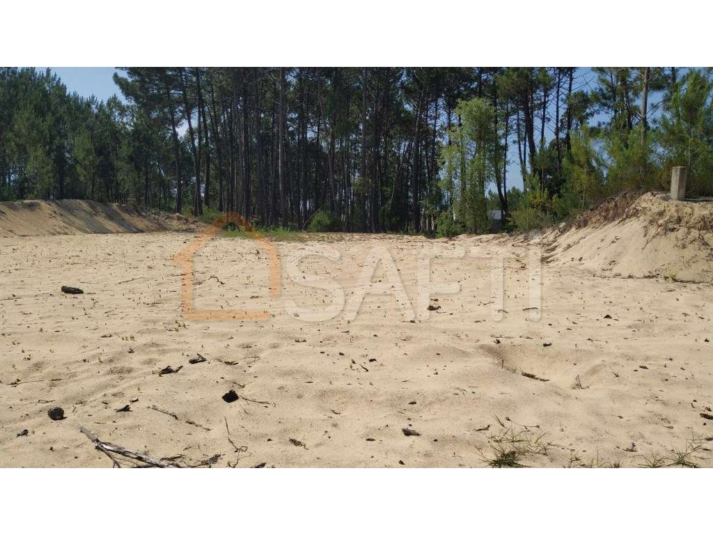 Terreno plano - Grande imagem: 5/10