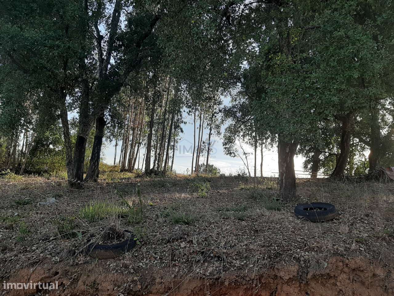 Terreno com Projeto Aprovado para Moradia em Besteiras – Águas Belas-27