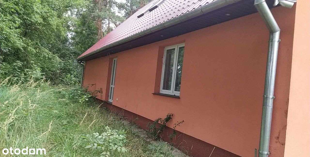 Dom na wsi - Pełny obrazek: 4/7