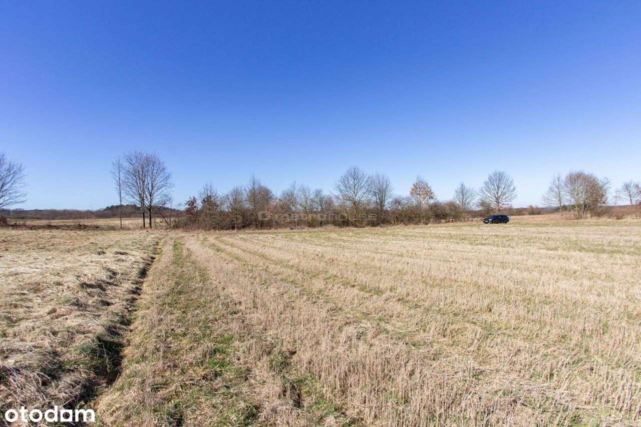 Działka rolna 3,18 ha - Pełny obrazek: 4/8