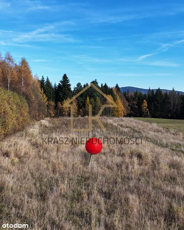 Widokowa działka rolna w Naprawie!-1