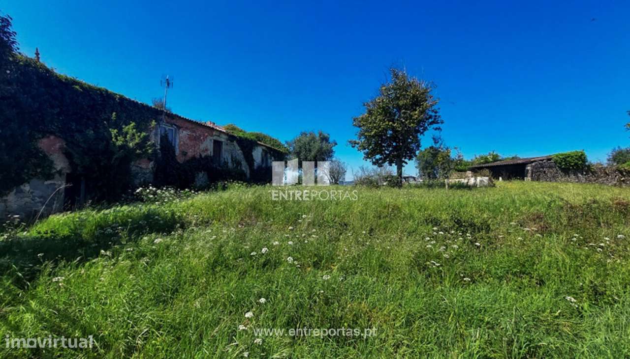 Venda de quintinha c/ moradia em pedra p/ recuperar, Fragoso, Barcelos - Grande imagem: 4/30