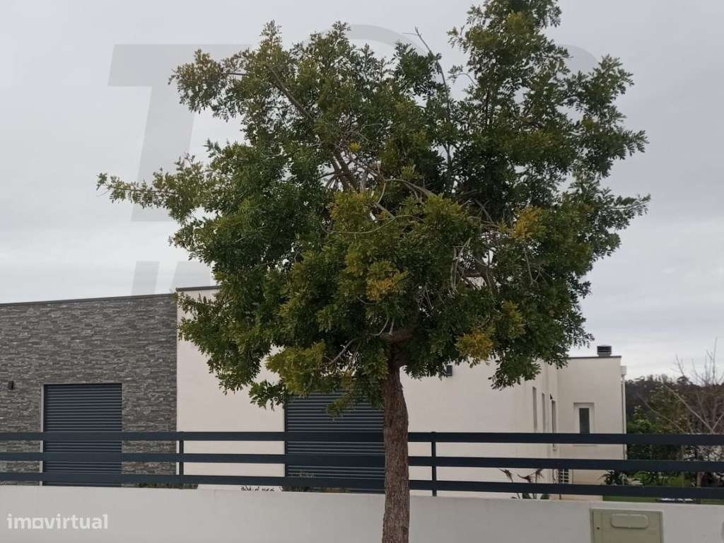 Moradia V3 Contemporânea - Em Construção - Foros De Salvaterra - 39... - Grande imagem: 3/7