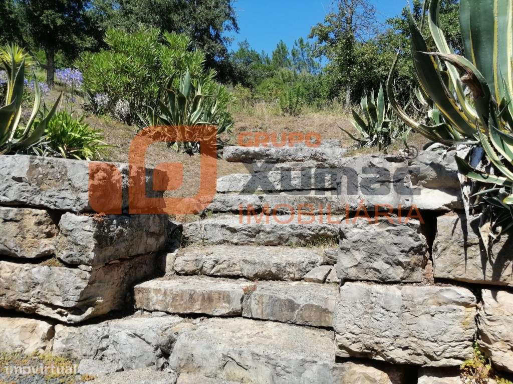 Magnífica propriedade tipo quintinha!!-42