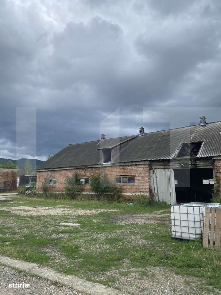 Proprietate industriala multifunctionala cu potential fotovoltaic – - Imagine principală: 4/15