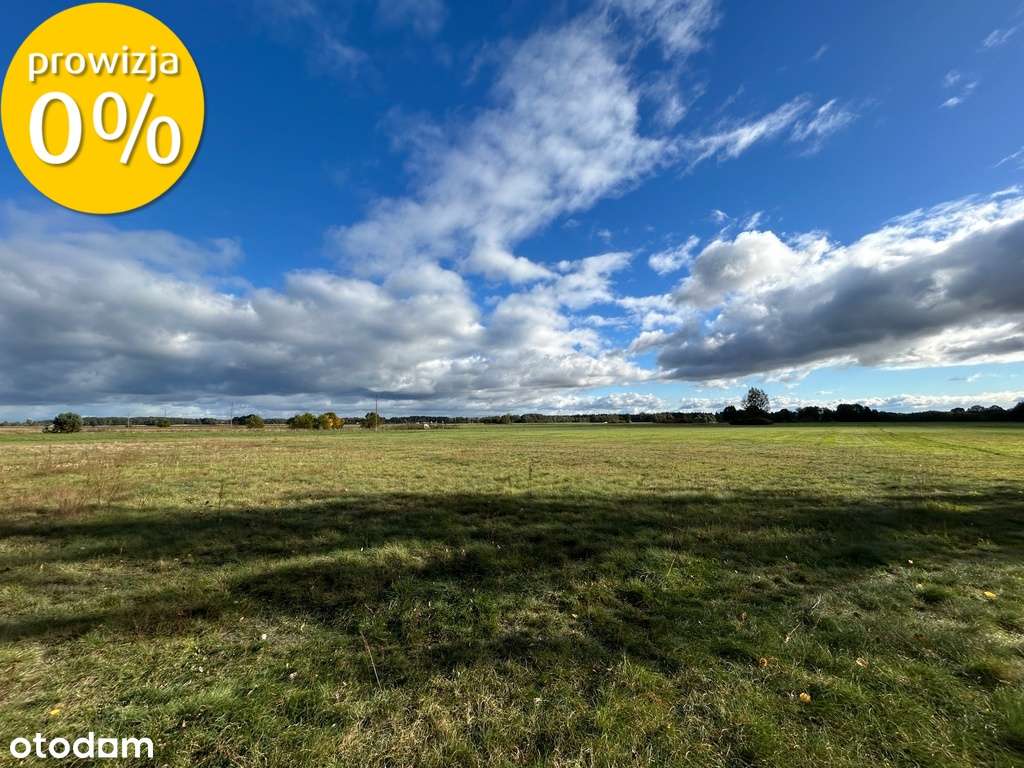 Siedlisko | 8,2 ha | Jędrzejewo k. Czarnkowa - Pełny obrazek: 2/12