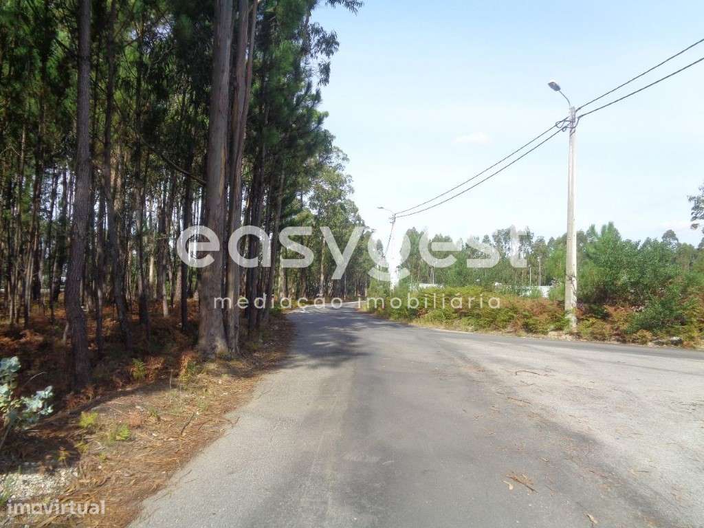 Terreno p/ Construção de Armazém ou Moradias - A29 Maceda/Arada - Grande imagem: 5/9