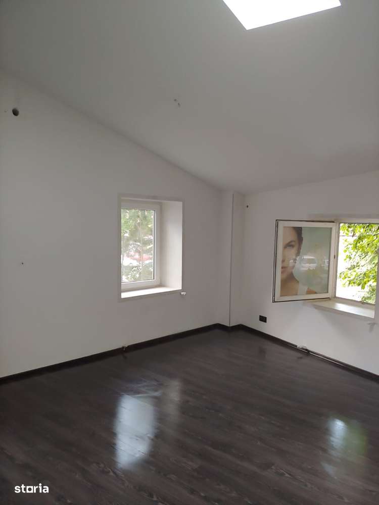 Spatiu comercial 300 mp Dacia - Imagine principală: 5/20