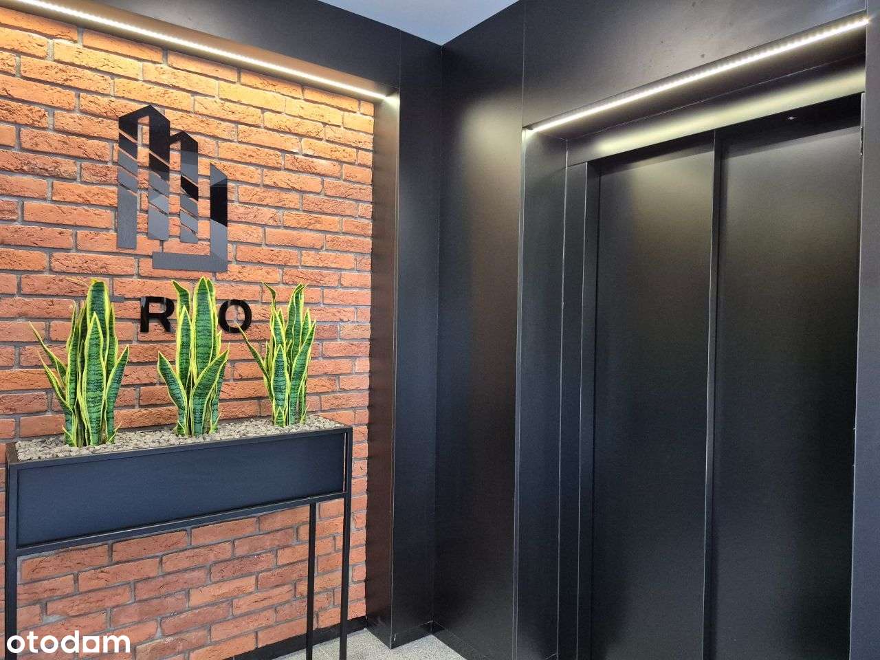 4pokojowy apartament! Osiedle TRIO!M.2.2 - Pełny obrazek: 3/12