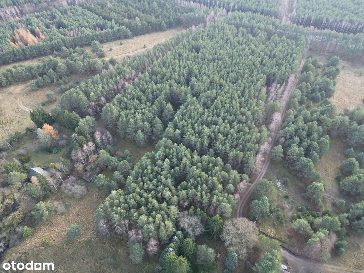 Działka na sprzedaż – Małe Jarki, koło Cierpic, niedaleko Torunia-7