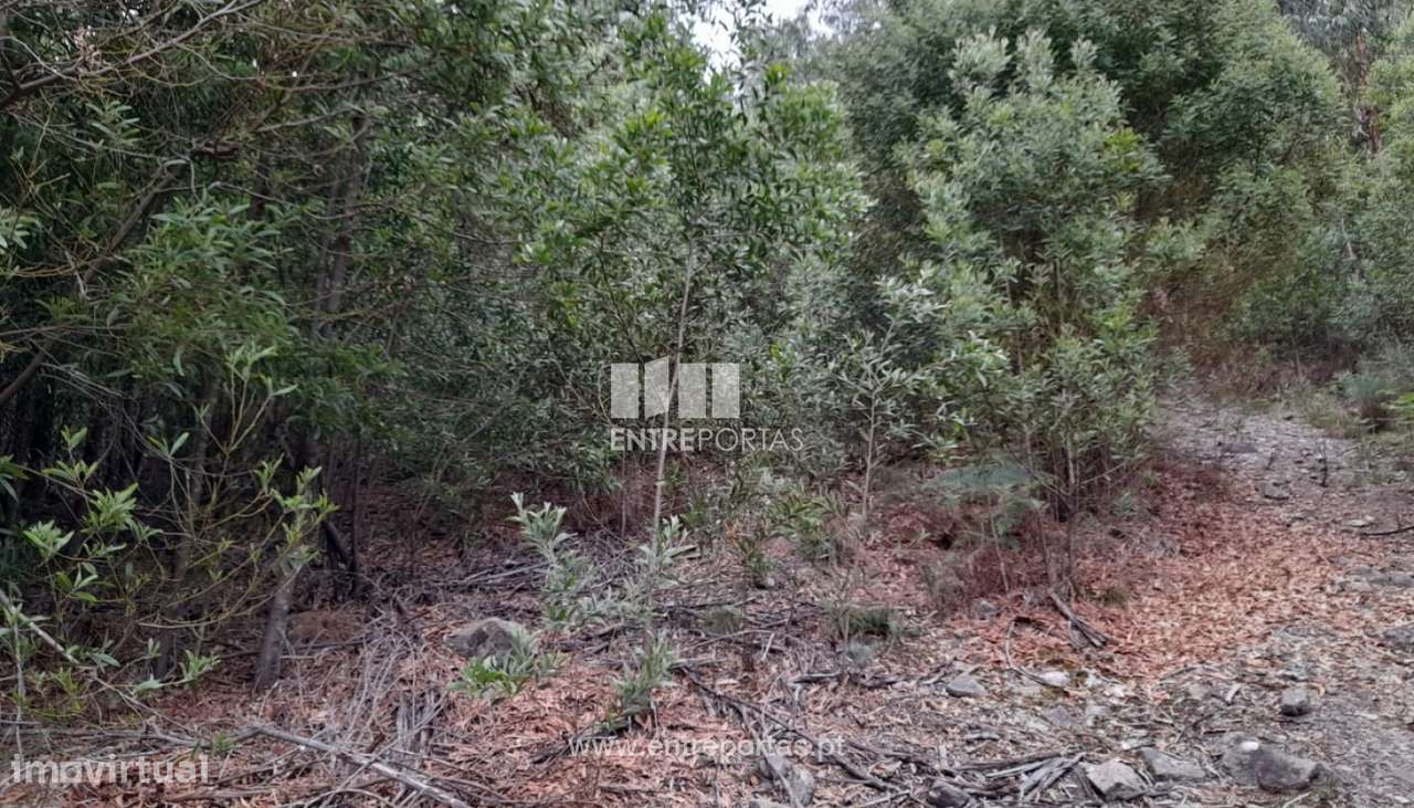 Venda Terreno, Vila Cova, Penafiel - Grande imagem: 5/15