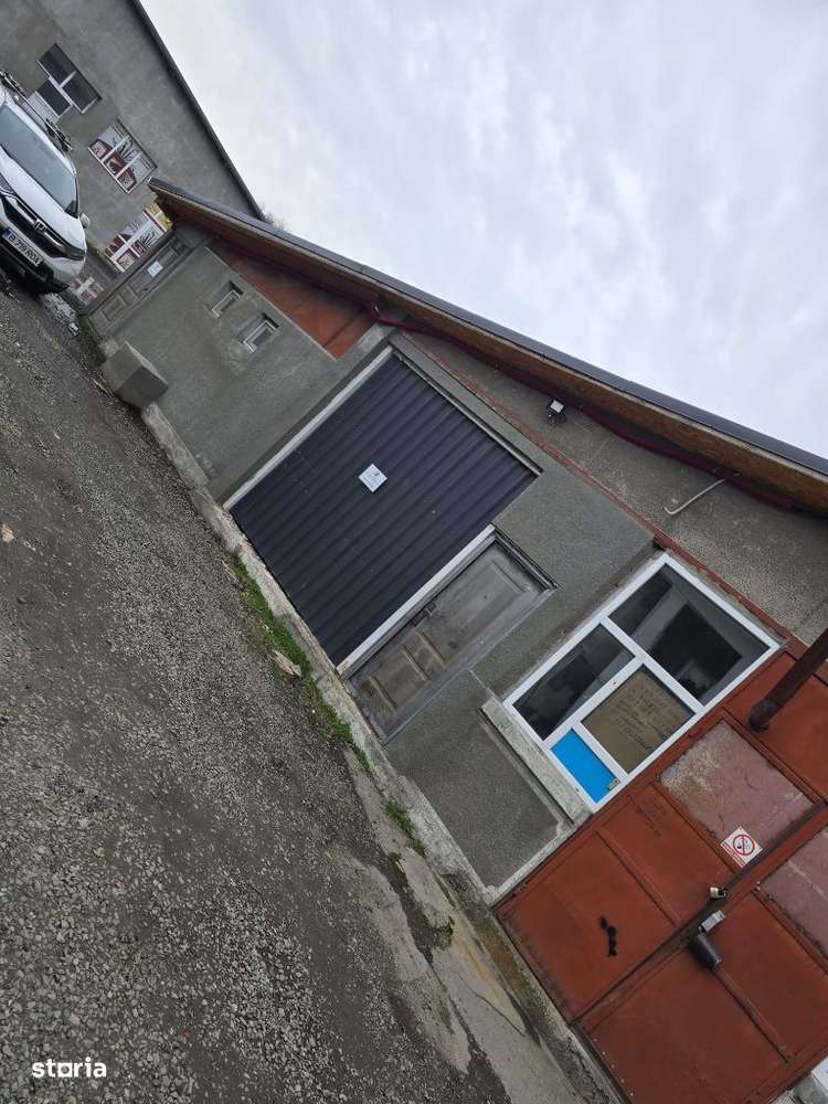 Inchiriez / Vand HALE in Tulcea - Imagine principală: 5/10