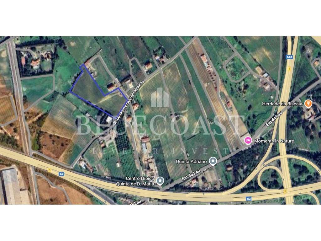 Terreno Rústico com Vinha e PIP Aprovado - Palmela-3