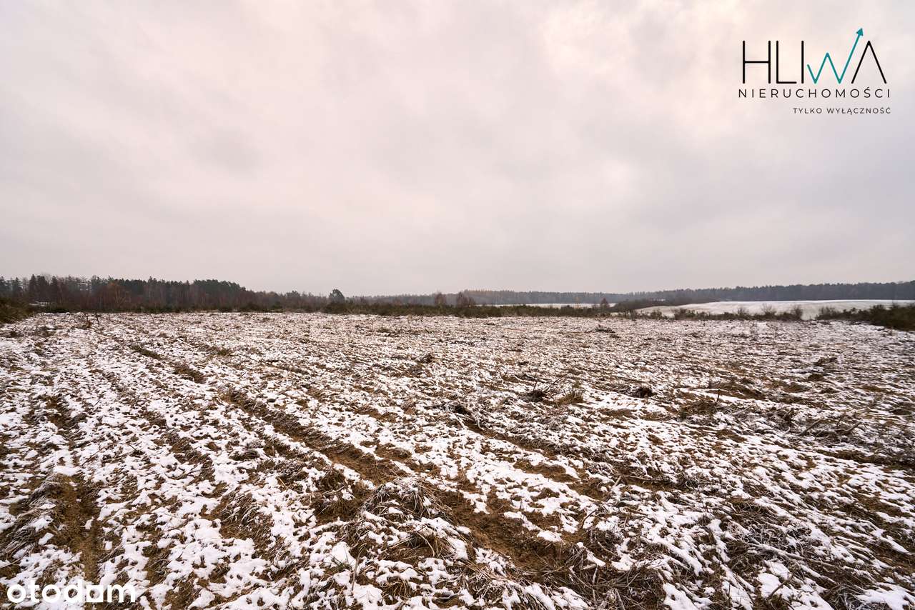 Działka zagrodowa Mierzyno gm. Gniewino 3011 m2-10