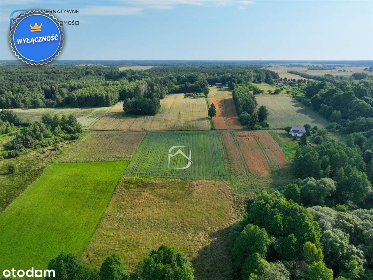 Atrakcyjne trzy działki budowlane Żminne - Pełny obrazek: 5/13