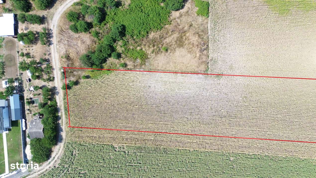 Teren intravilan Darza 1ha langa case deschidere 22 m - Imagine principală: 3/4