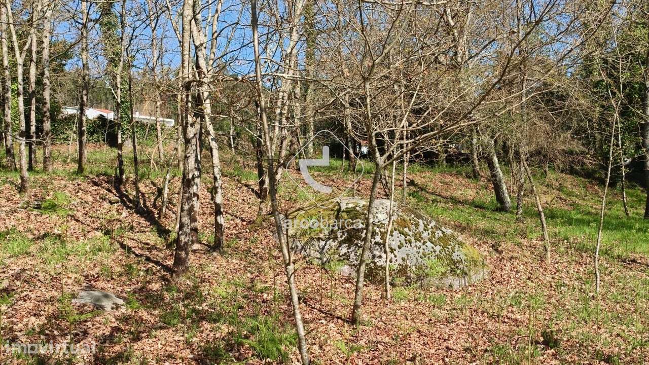 Terreno com  4042m2, viabilidade de construção, com PIP, Formariz - Pa - Grande imagem: 2/47