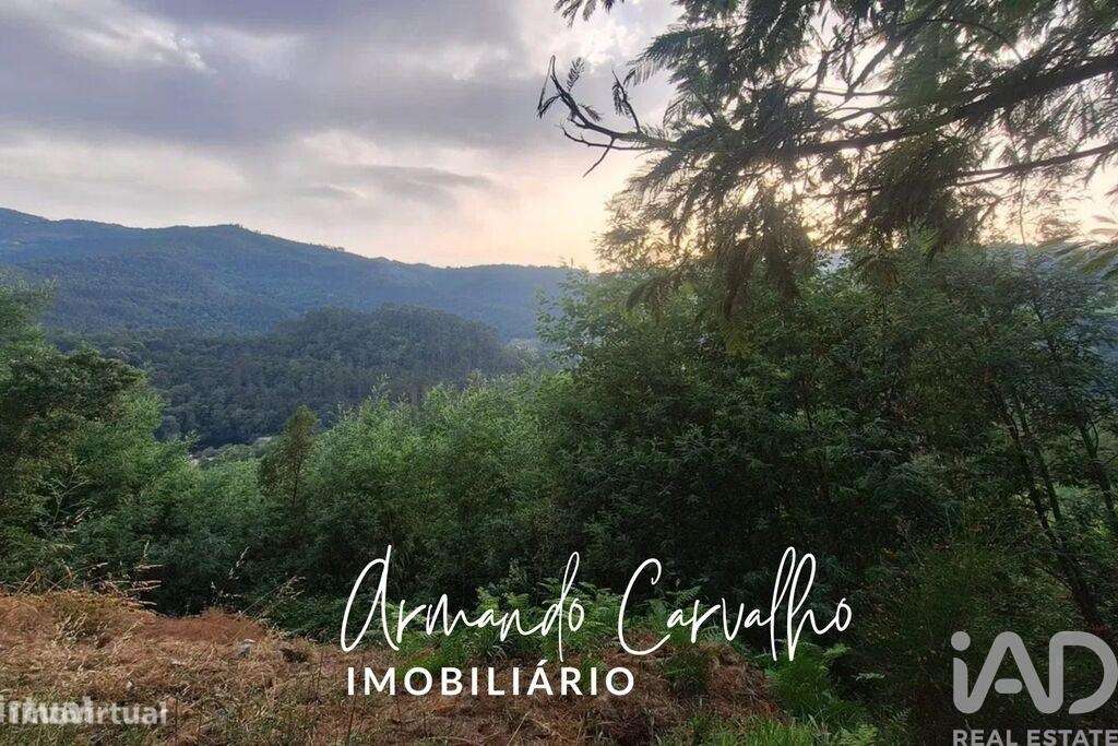 Terreno em Travanca - Grande imagem: 3/7