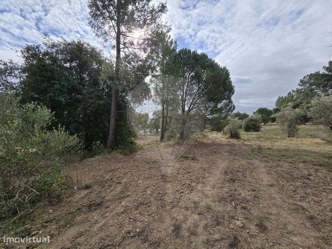 Terreno  para venda - Grande imagem: 4/12