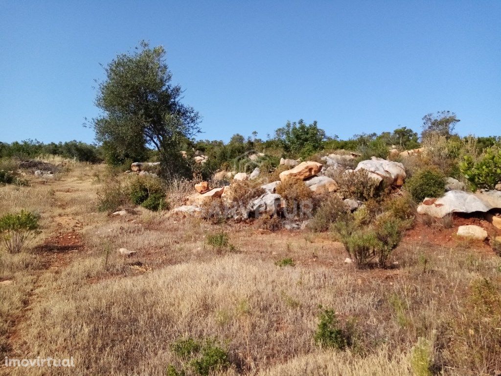 Terreno Rústico perto de Loulé, Loulé, Algarve